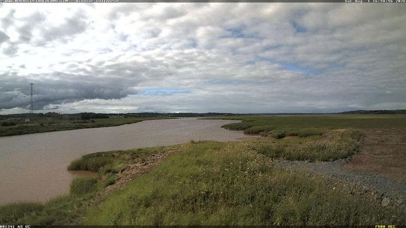 Windsor Salt Marsh