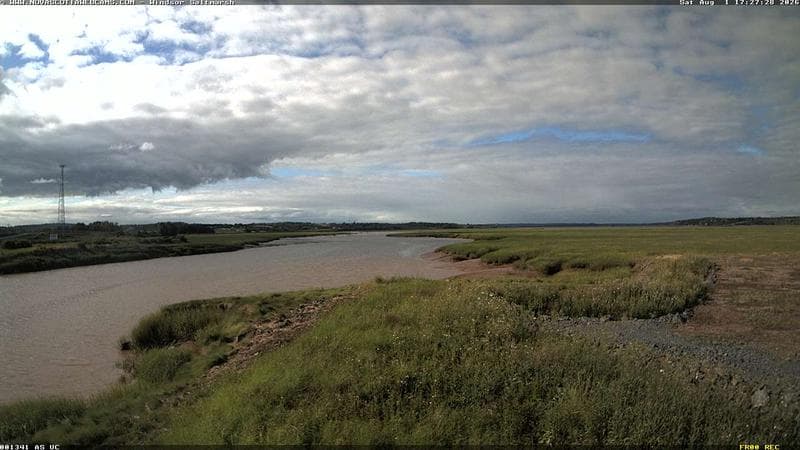 Windsor Salt Marsh