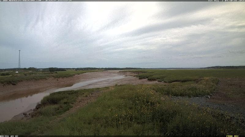 Windsor Salt Marsh