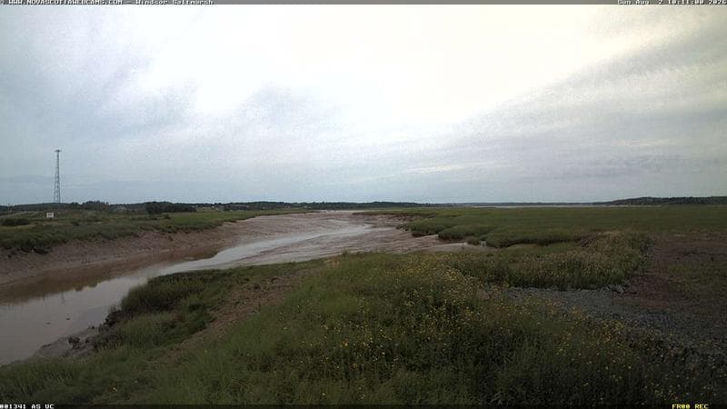 Windsor Salt Marsh