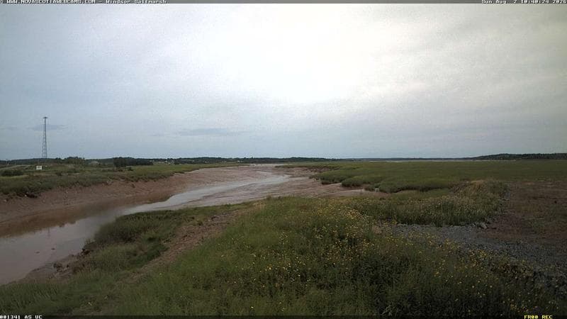 Windsor Salt Marsh