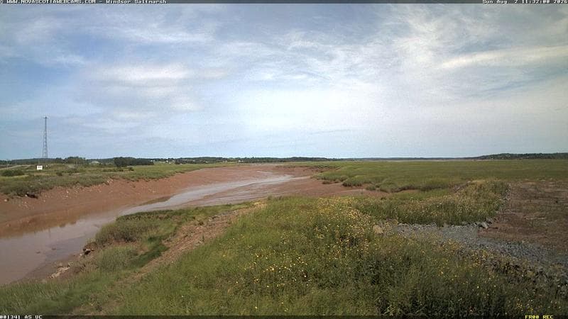 Windsor Salt Marsh