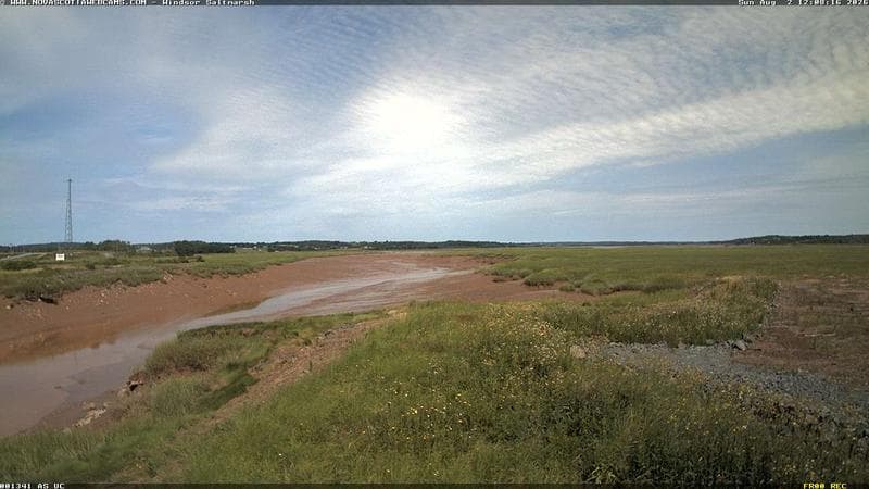 Windsor Salt Marsh