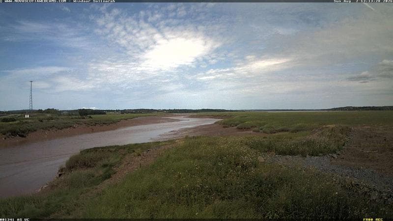 Windsor Salt Marsh