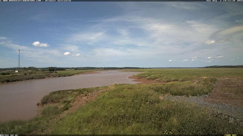 Windsor Salt Marsh