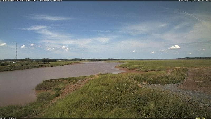Windsor Salt Marsh