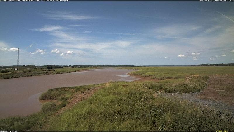 Windsor Salt Marsh