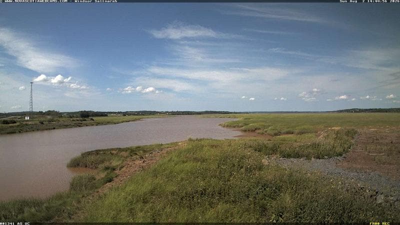 Windsor Salt Marsh