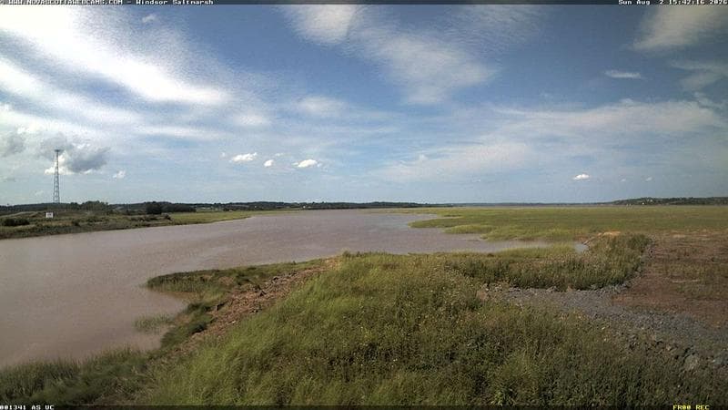 Windsor Salt Marsh