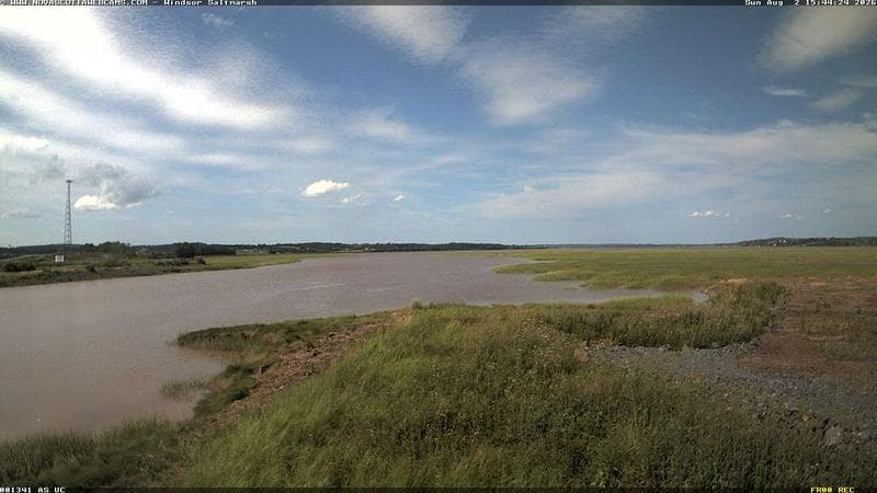 Windsor Salt Marsh