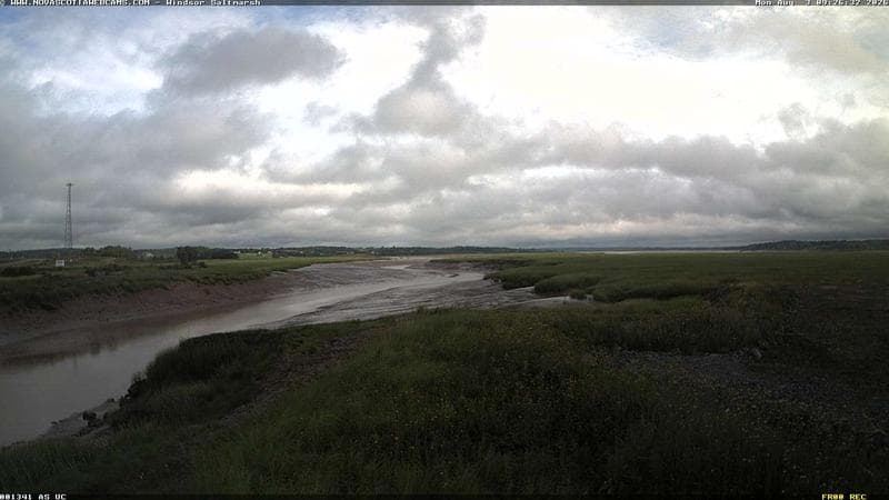 Windsor Salt Marsh