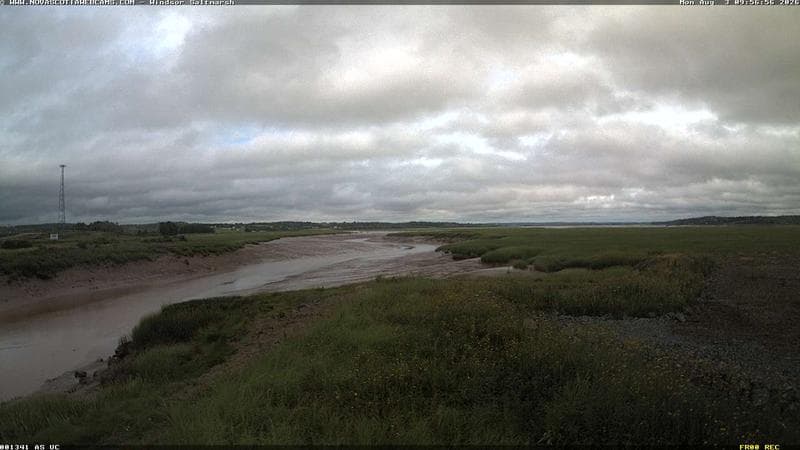 Windsor Salt Marsh