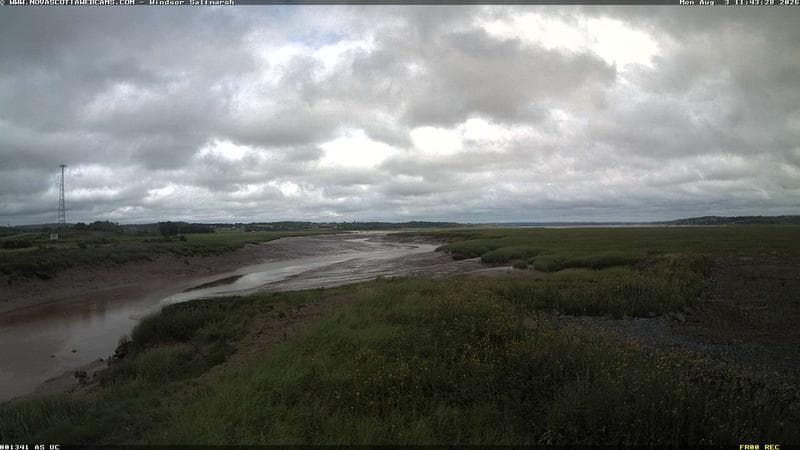 Windsor Salt Marsh