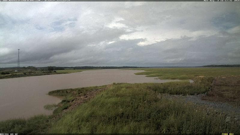 Windsor Salt Marsh