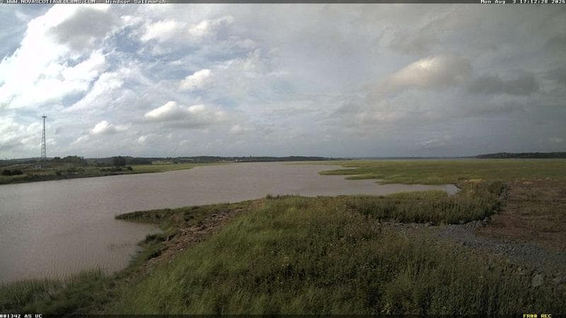 Windsor Salt Marsh