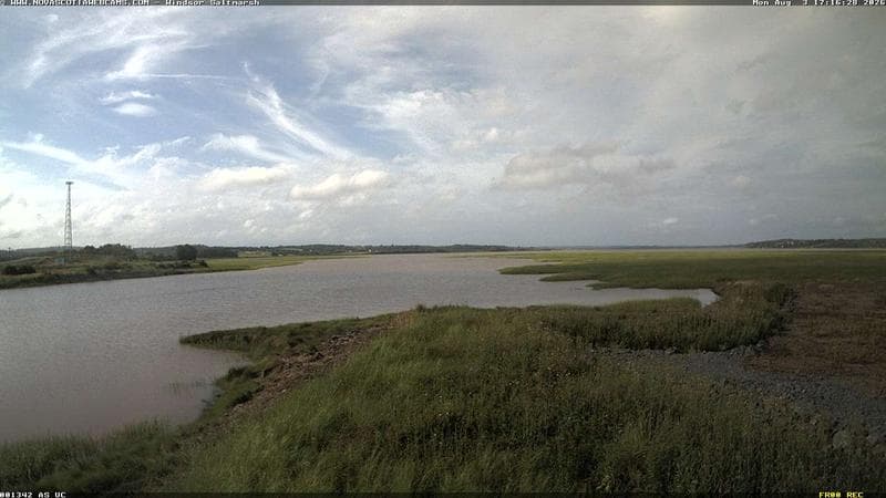 Windsor Salt Marsh