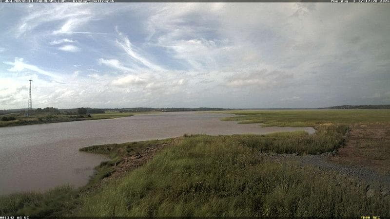 Windsor Salt Marsh