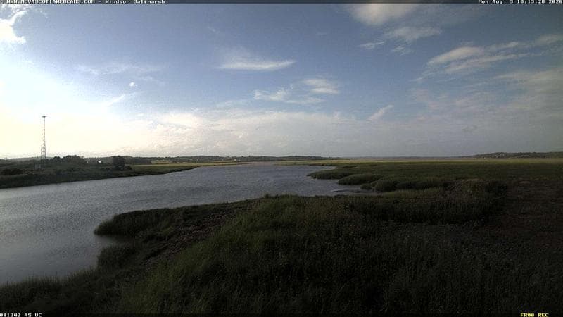Windsor Salt Marsh