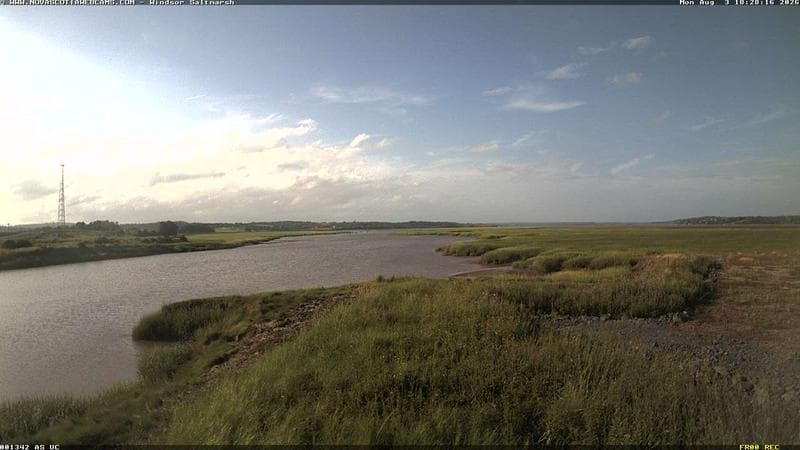 Windsor Salt Marsh