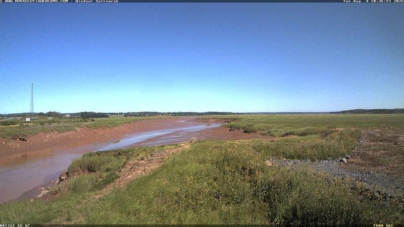 Windsor Salt Marsh