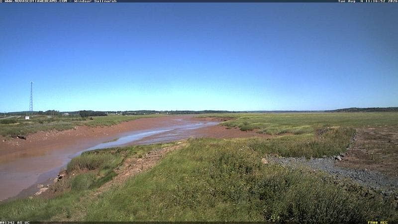 Windsor Salt Marsh