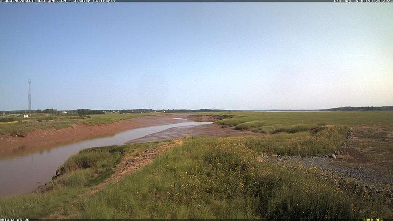 Windsor Salt Marsh