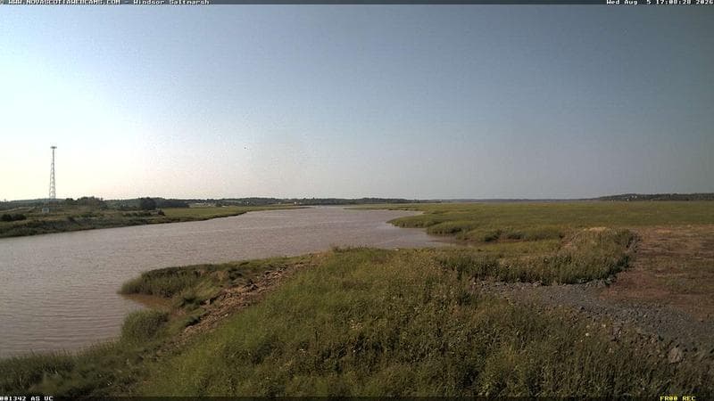 Windsor Salt Marsh