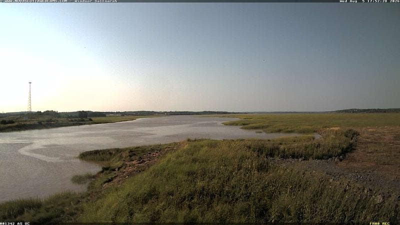 Windsor Salt Marsh
