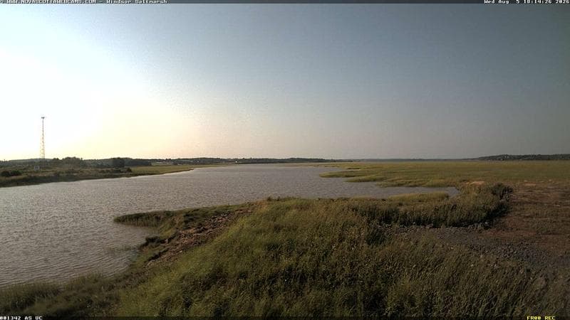 Windsor Salt Marsh