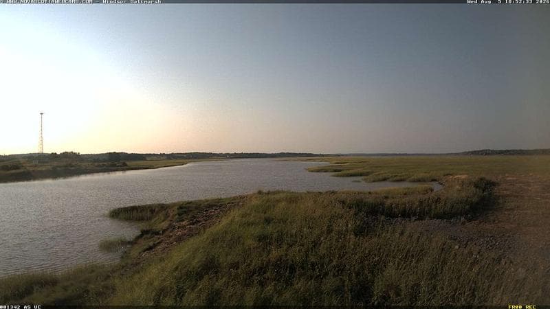 Windsor Salt Marsh