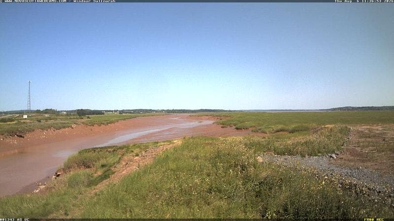 Windsor Salt Marsh