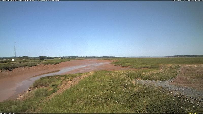Windsor Salt Marsh