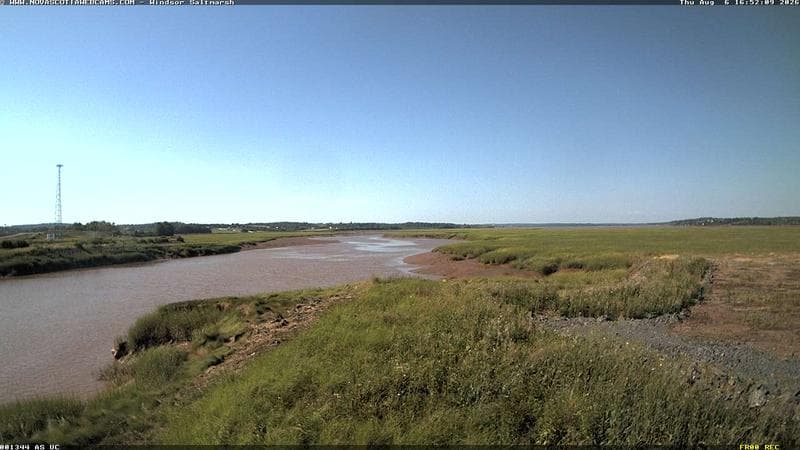 Windsor Salt Marsh