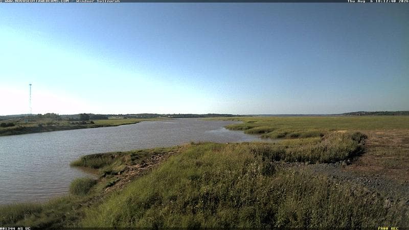 Windsor Salt Marsh