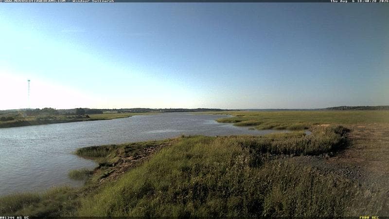 Windsor Salt Marsh