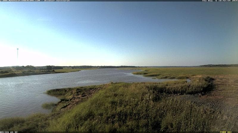 Windsor Salt Marsh