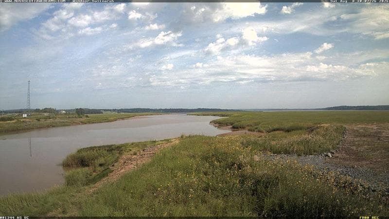 Windsor Salt Marsh