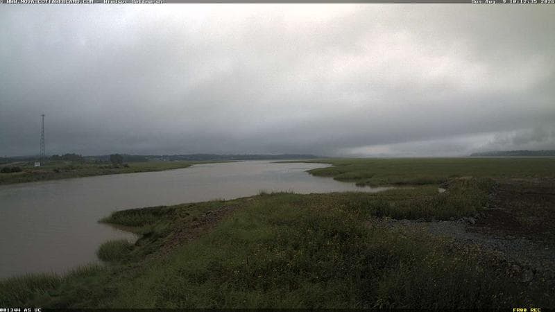 Windsor Salt Marsh