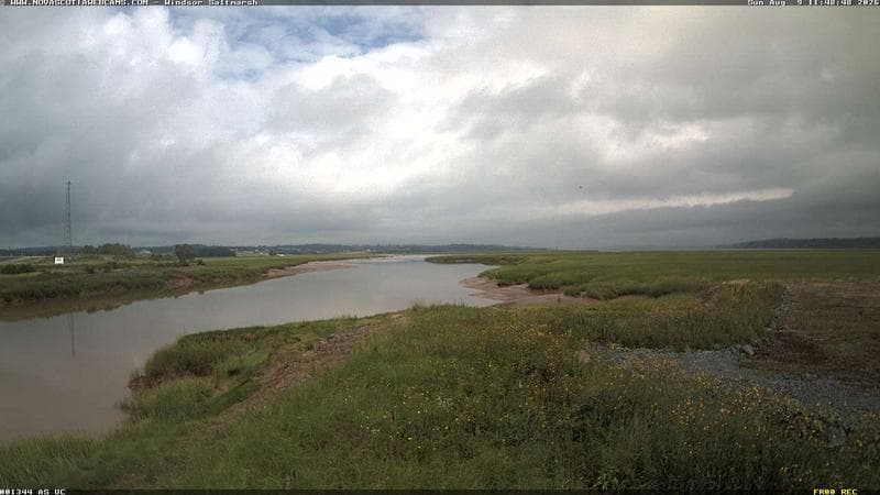 Windsor Salt Marsh