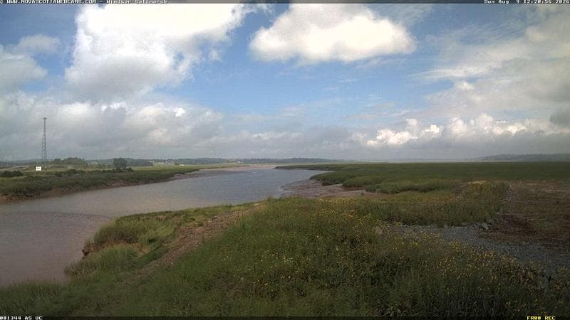 Windsor Salt Marsh