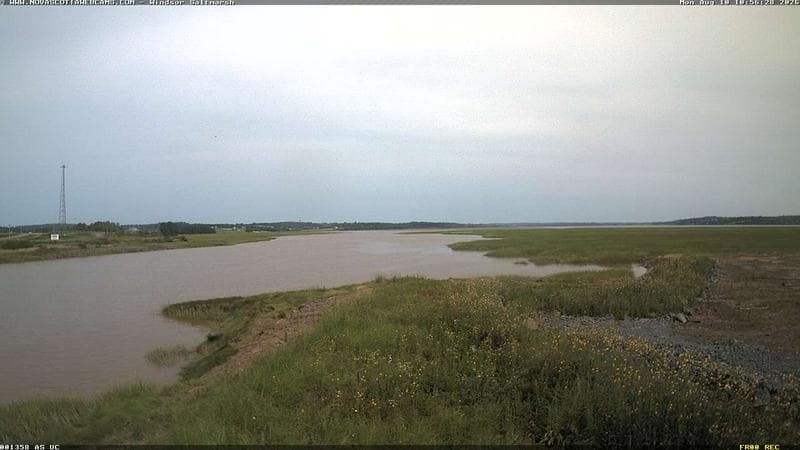 Windsor Salt Marsh
