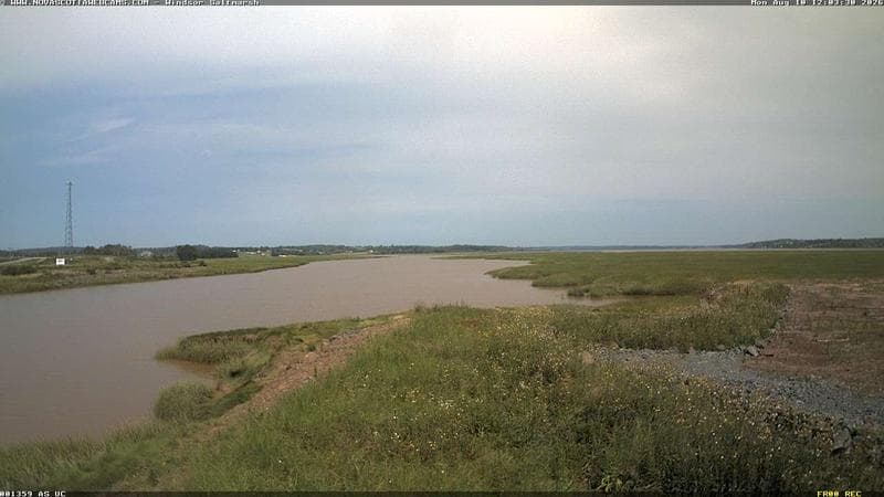 Windsor Salt Marsh