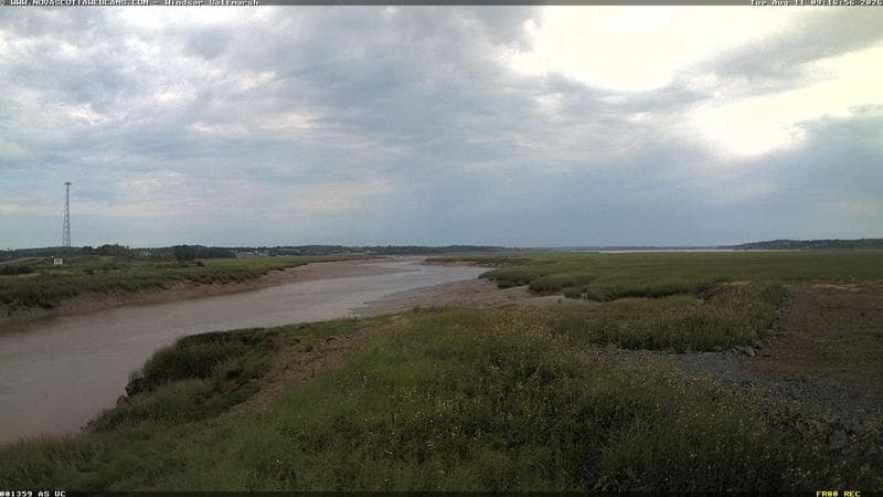 Windsor Salt Marsh