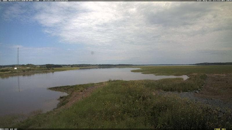 Windsor Salt Marsh