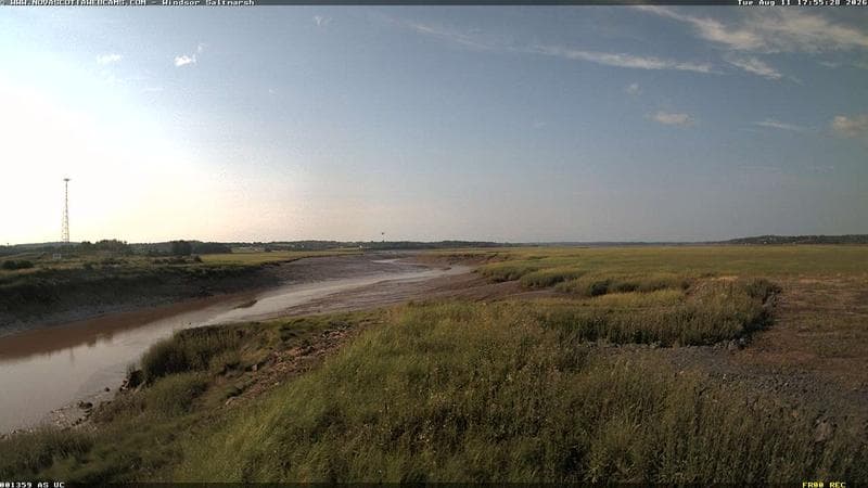 Windsor Salt Marsh