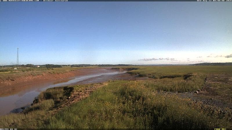 Windsor Salt Marsh
