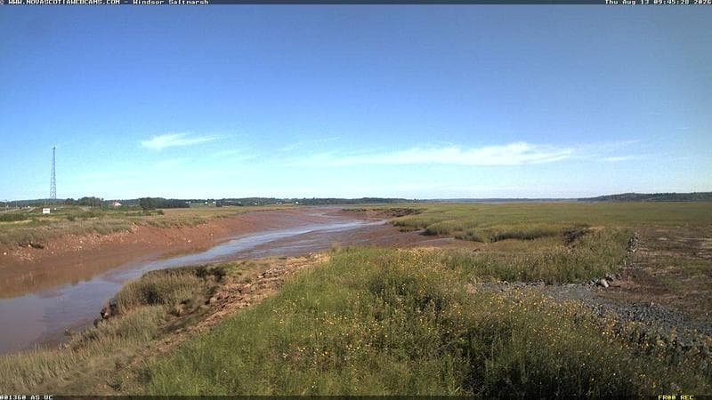 Windsor Salt Marsh