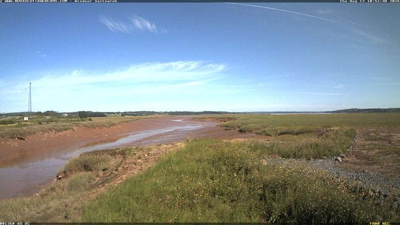 Windsor Salt Marsh