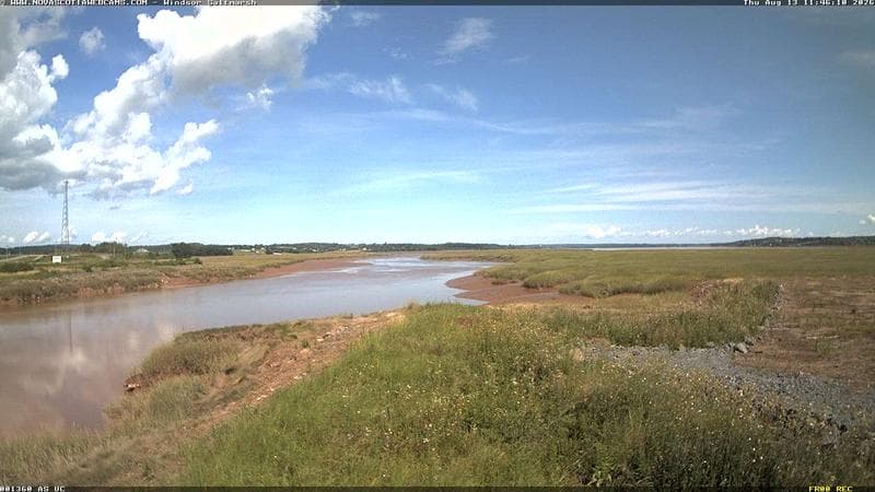 Windsor Salt Marsh