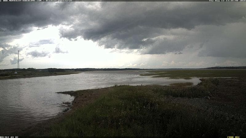 Windsor Salt Marsh